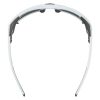 Купить Очки Alpina Skywalsh Q Smoke-Grey Matt/Green Mirror Cat.4 Fogstop в Ставрополе