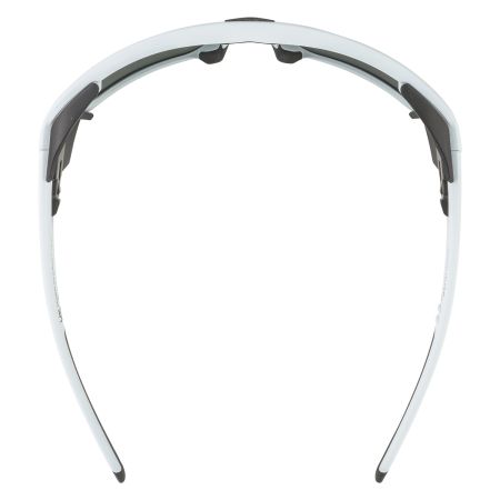 Купить Очки Alpina Skywalsh Q Smoke-Grey Matt/Green Mirror Cat.4 Fogstop в Ставрополе
