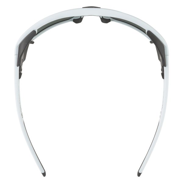 Купить очки alpina skywalsh q smoke-grey matt/green mirror cat.4 fogstop в Ставрополе