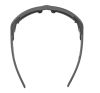 Купить Очки Alpina Skywalsh Q Midnight-Grey Matt/Blue Mirror Cat.4 Fogstop в Ставрополе