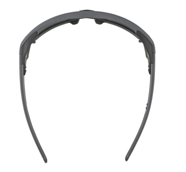 Купить очки alpina skywalsh q midnight-grey matt/blue mirror cat.4 fogstop в Ставрополе