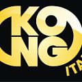  Спусковые устройства KONG в Ставрополе  