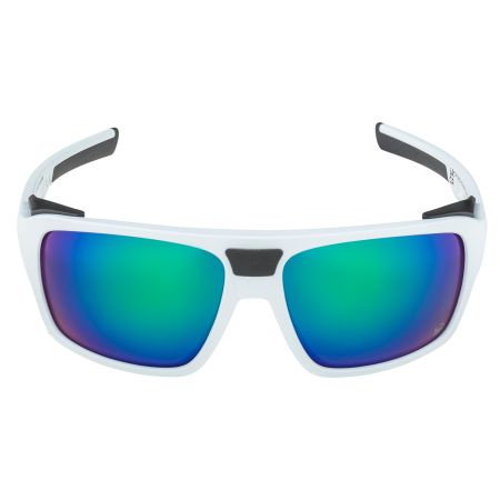 Купить Очки Alpina Skywalsh Q Smoke-Grey Matt/Green Mirror Cat.4 Fogstop в Ставрополе