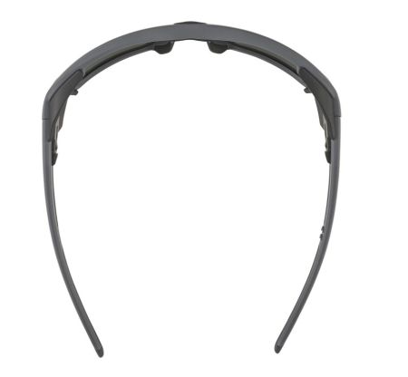 Купить Очки Alpina Skywalsh Q Midnight-Grey Matt/Blue Mirror Cat.4 Fogstop в Ставрополе