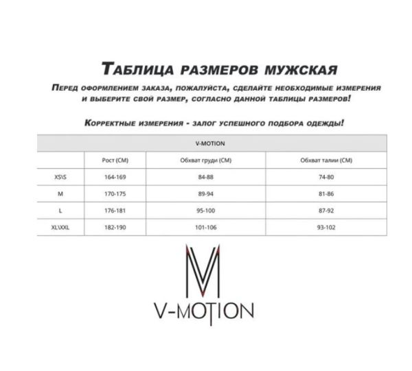 Термобельё V-MOTION Base мужской серебристый в Ставрополе