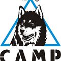 Купить в кошки camp Кошки CAMP в Ставрополе