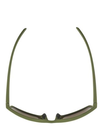 Купить Очки Alpina Nacan I Olive Matt/Bronce Mirror Cat.3 в Ставрополе